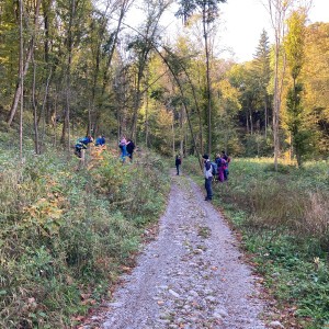 Výprava Lišek do Moravského krasu (8.-10.10.2021)