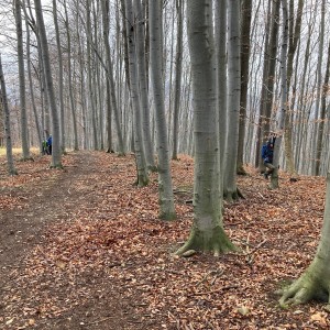 Výprava Kocourů a Lišek k jeskyni (18.12.2021)