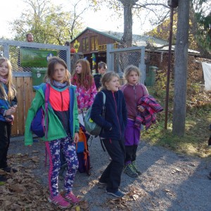 Oddílová výprava na Vorlovskou myslivnu