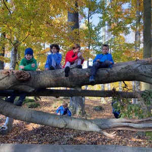 Oddílová výprava na Vorlovskou myslivnu