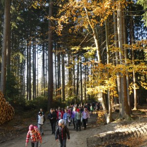 Oddílová výprava na Vorlovskou myslivnu
