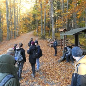 Oddílová výprava na Vorlovskou myslivnu