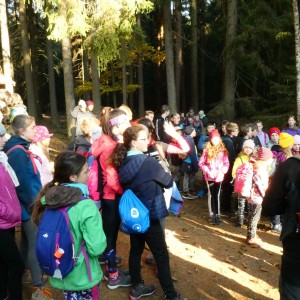 Oddílová výprava na Vorlovskou myslivnu