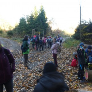 Oddílová výprava na Vorlovskou myslivnu