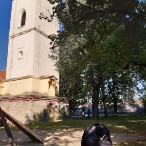 Žraločí výprava na rozhlednu Výhon