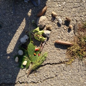 Žraločí výprava na rozhlednu Výhon