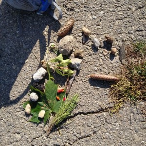 Žraločí výprava na rozhlednu Výhon