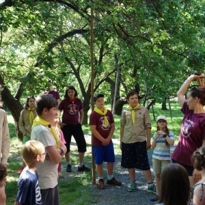 Závěrečná oddílovka 2021