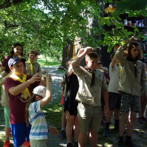 Závěrečná oddílovka 2021