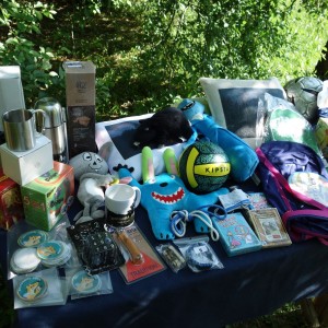 Závěrečná oddílovka 2021