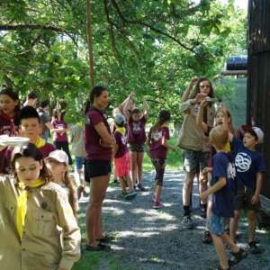 Závěrečná oddílovka 2021