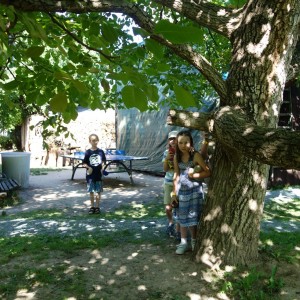 Závěrečná oddílovka 2021