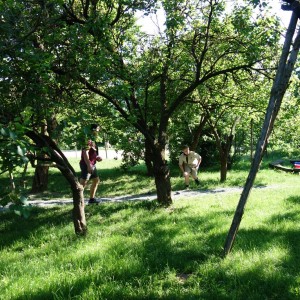 Závěrečná oddílovka 2021