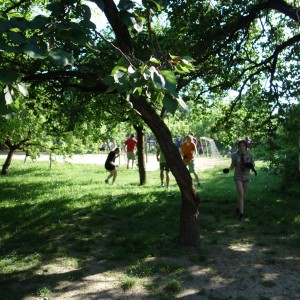 Závěrečná oddílovka 2021