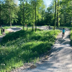 Květnová oddílovka Lišek a Kocourů na kolech