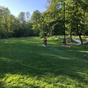 Květnová oddílovka Lišek a Kocourů na kolech
