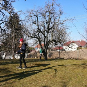 Dobrodružné soví přespání