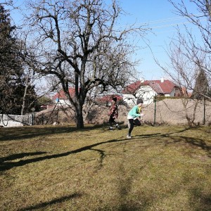 Dobrodružné soví přespání