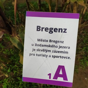 Kobří výprava do kukuřičného bludiště