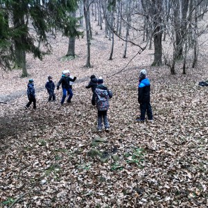 Kocouří výprava do lomu