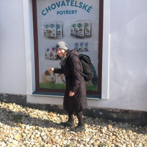 Kudlančí výprava do Slavkova