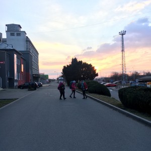 Kudlančí výprava do Slavkova