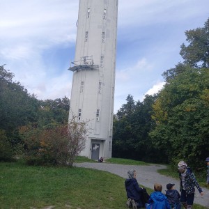 Lachtani na Hády