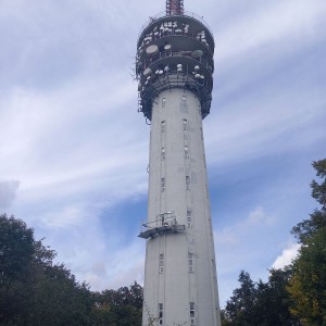Lachtani na Hády