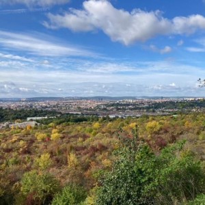 Lachtani na Hády