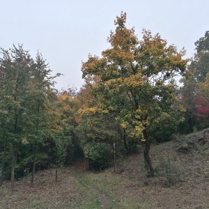 Soví výprava do lamacentra