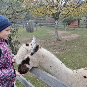 Soví výprava do lamacentra