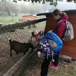 Soví výprava do lamacentra