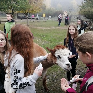 Soví výprava do lamacentra