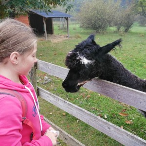Soví výprava do lamacentra