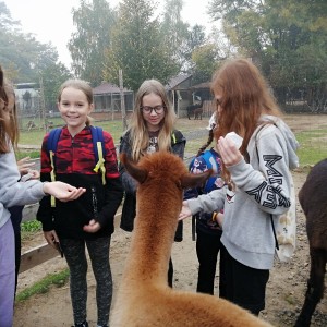 Soví výprava do lamacentra