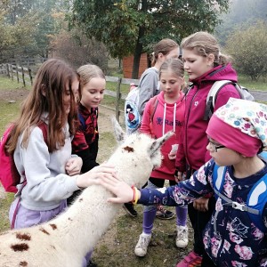 Soví výprava do lamacentra