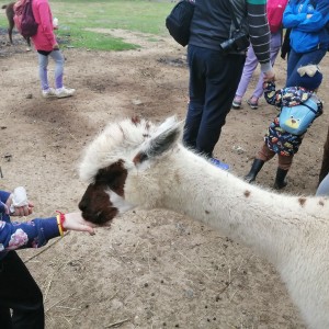 Soví výprava do lamacentra