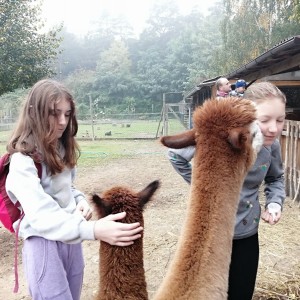 Soví výprava do lamacentra