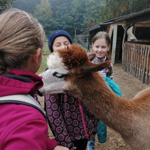 Soví výprava do lamacentra