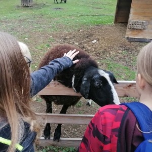 Soví výprava do lamacentra