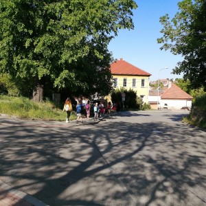 Sovy v Moravském krasu