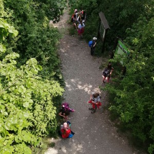 Sovy v Moravském krasu