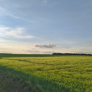 Sršní výprava pod Ketkovák (13. - 15. 5. 2022)