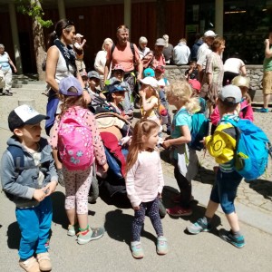 Svišti v jeskyni Punkva