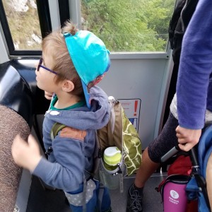 Svišti v jeskyni Punkva