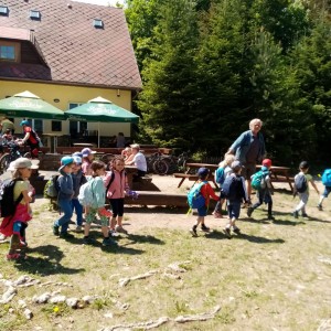 Svišti v jeskyni Punkva