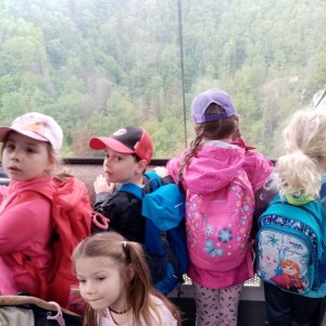 Svišti v jeskyni Punkva