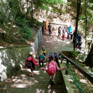 Svišti v jeskyni Punkva