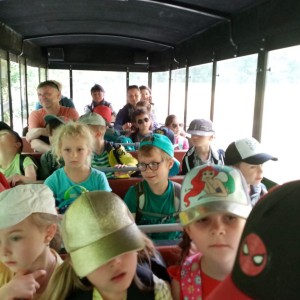 Svišti v jeskyni Punkva