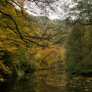 Výprava Tučňáků na Nový hrad